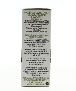 Orme (Ulmus campestris) bourgeon BIO, 15 ml